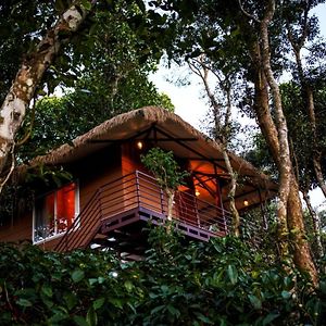 Coffee Cradle Wayanad Luxuorios Private Tree House - Inside 2 Acre Coffee Plantation Mananthavady Exterior photo
