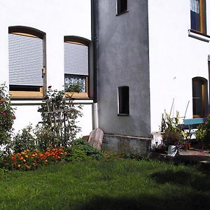 Ferienwohnung Rose Schöneck Exterior photo
