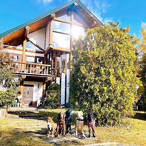 Hakuba Log Hotel Meteor Exterior photo