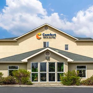 Comfort Inn & Suites Redwood Country Fortuna Exterior photo