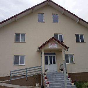 Casa Andrei Retezat Haţeg Exterior photo