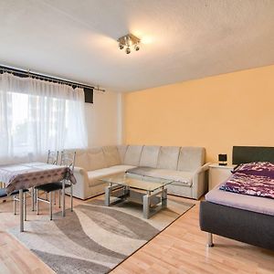 Comfortable Homly Apartment Offenbach am Main Exterior photo
