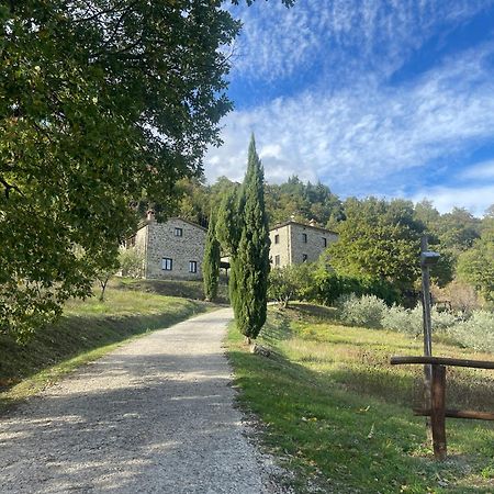 Bio Agriturismo Il Vigno Casa de hóspedes Caprese Michelangelo Exterior foto