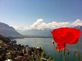 Flaminia Hotel Caux sur Montreux Exterior foto