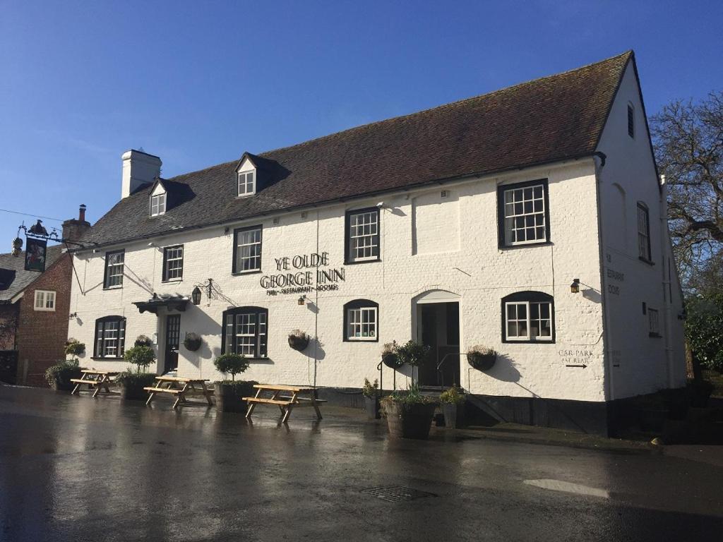 Ye Olde George Inn - Badger Pubs Privett Exterior foto