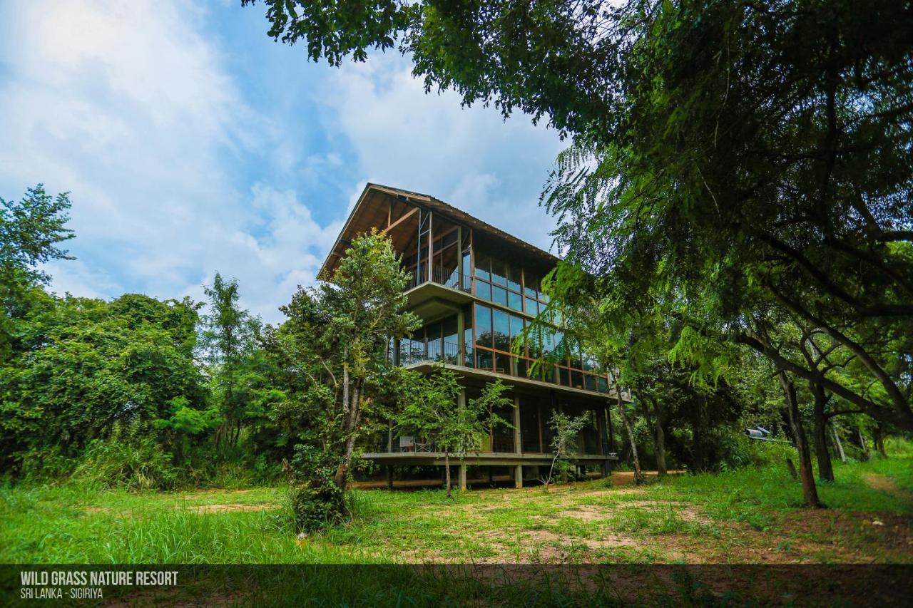 Wild Grass Nature Resort Sigiriya Exterior foto