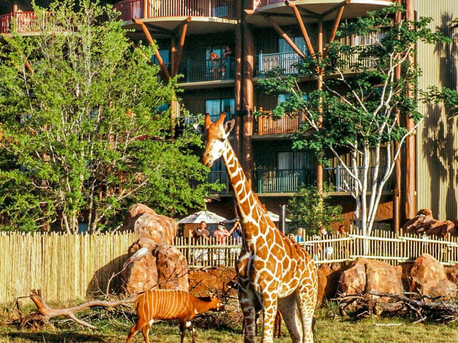 Disney'S Animal Kingdom Lodge Four Corners Exterior foto