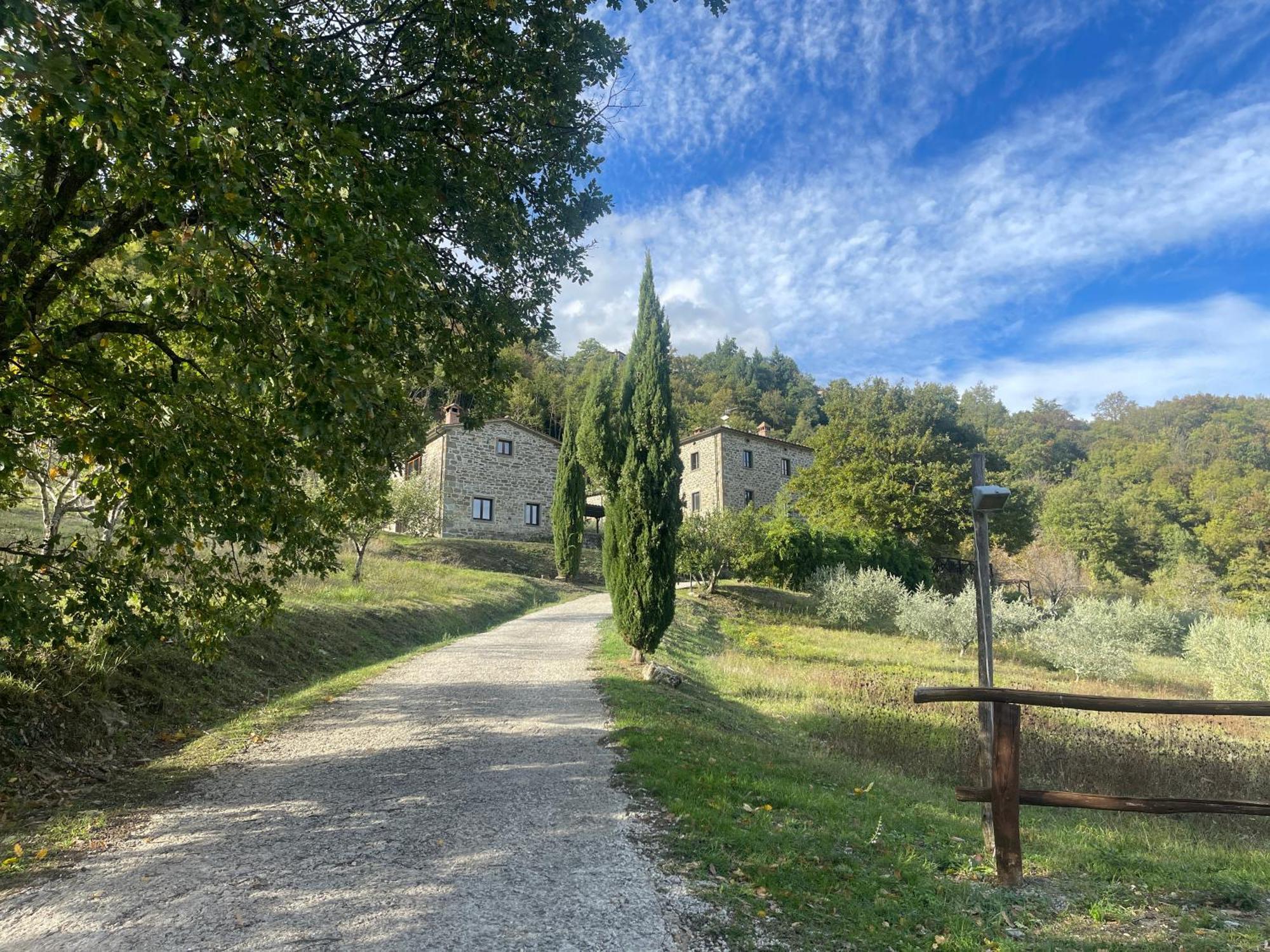Bio Agriturismo Il Vigno Casa de hóspedes Caprese Michelangelo Exterior foto