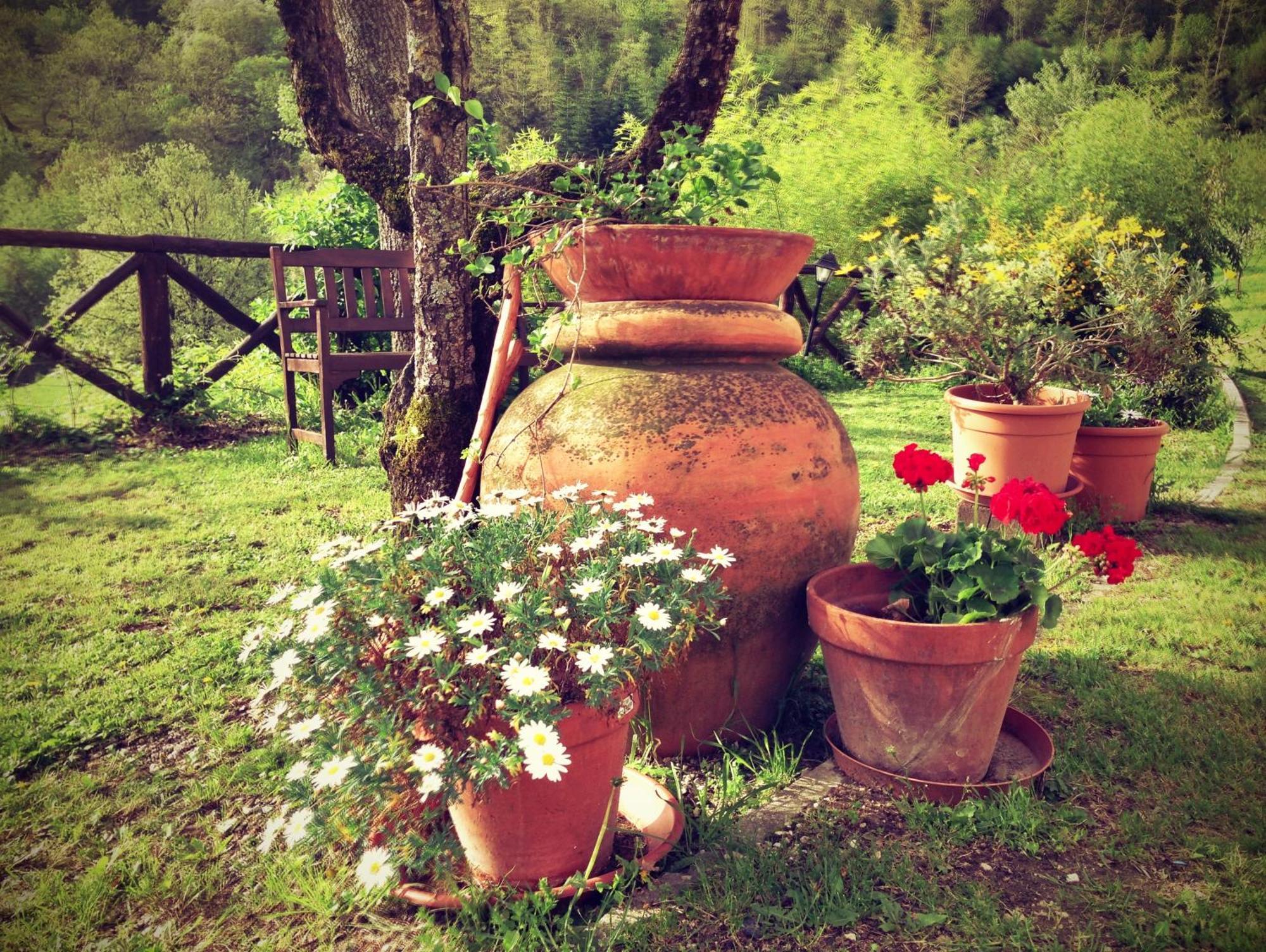 Bio Agriturismo Il Vigno Casa de hóspedes Caprese Michelangelo Exterior foto