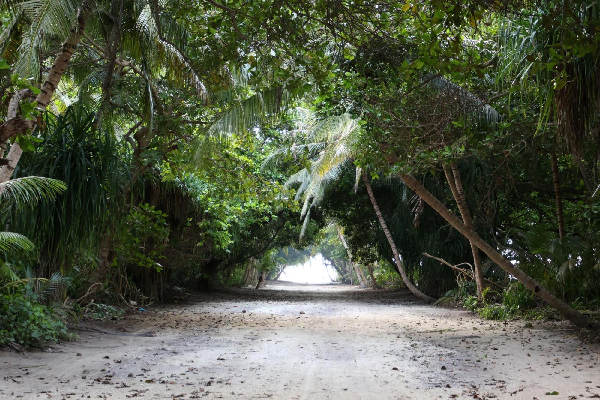 Hanifaru Transit Inn Dharavandhoo Exterior foto