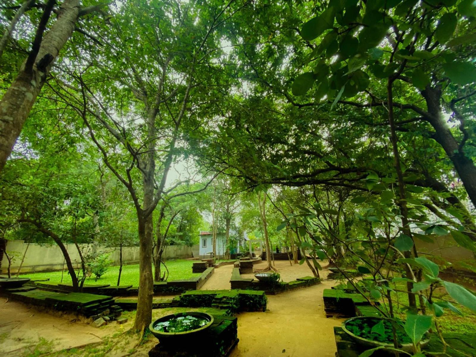 Twin Blocks Nature Resort Anuradhapura Exterior foto