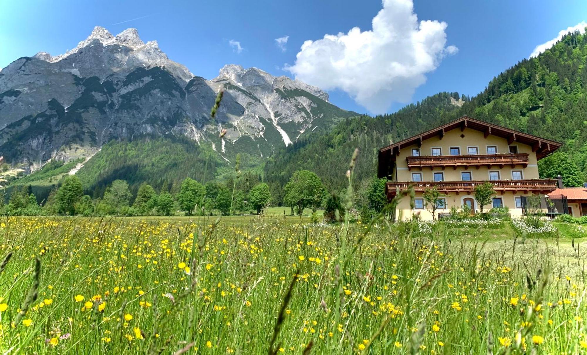 Alpen Appartements Oberlehengut - Hideaway Werfenweng Exterior foto