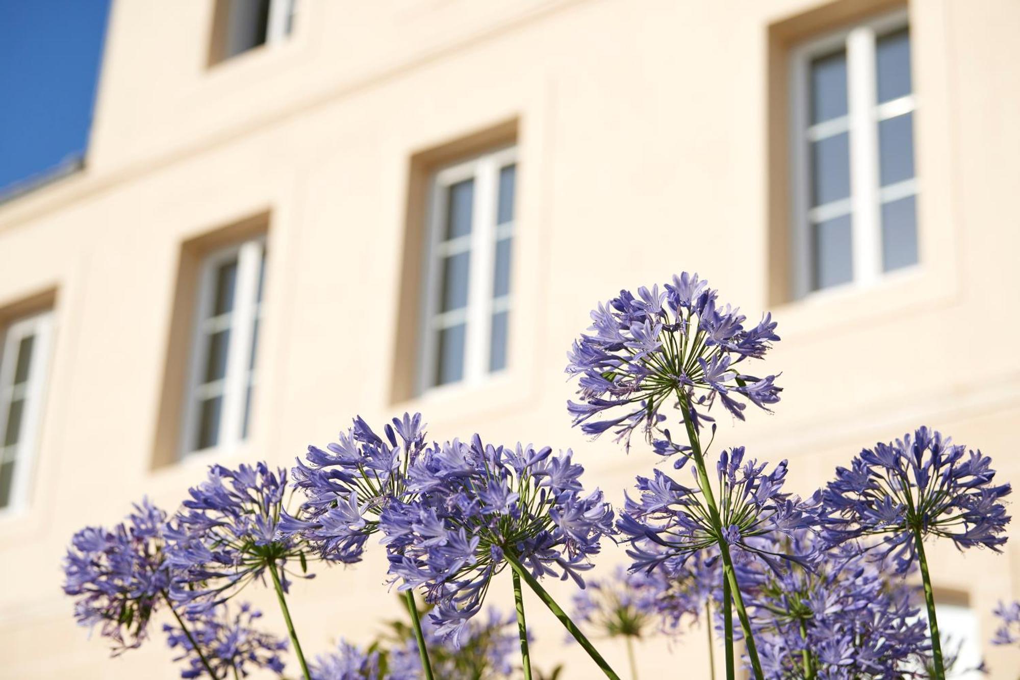 Best Western Premier Hotel Des Vignes Et Des Anges Pauillac Exterior foto