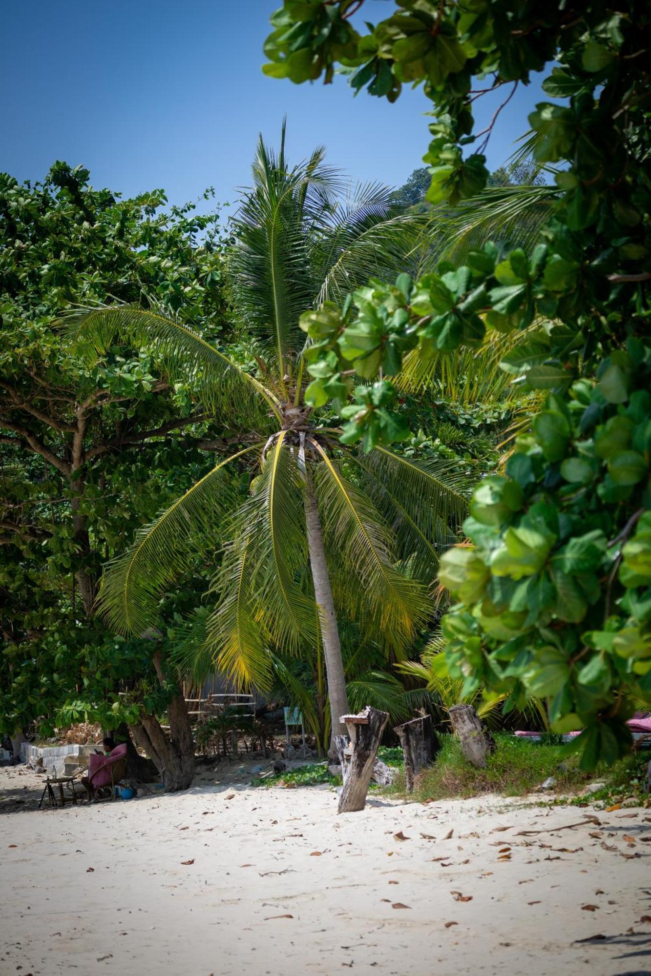 Soul Villas By The Beach - Phuket Panwa Beach Exterior foto