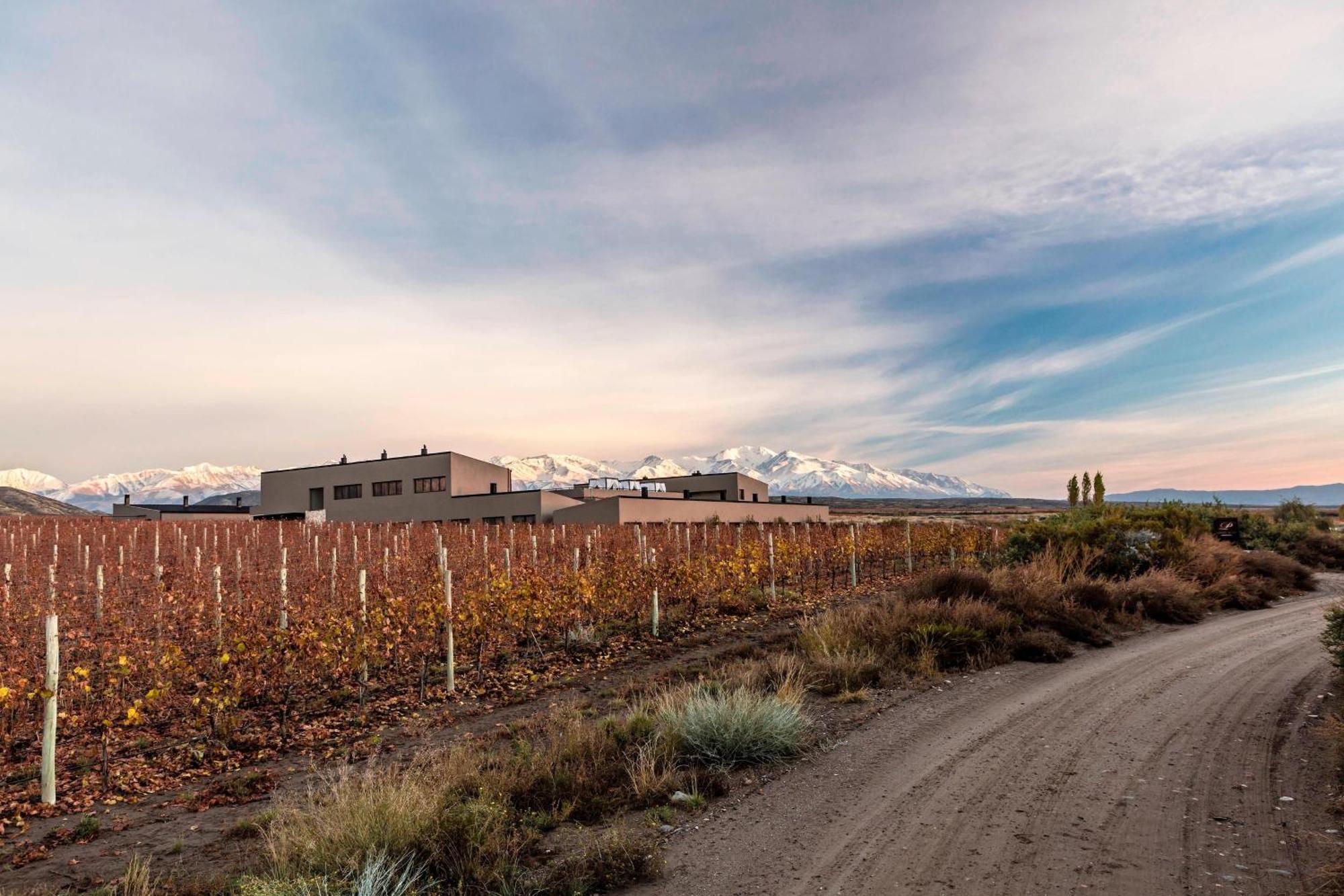 Auberge Du Vin, A Tribute Portfolio Hotel Tupungato Exterior foto