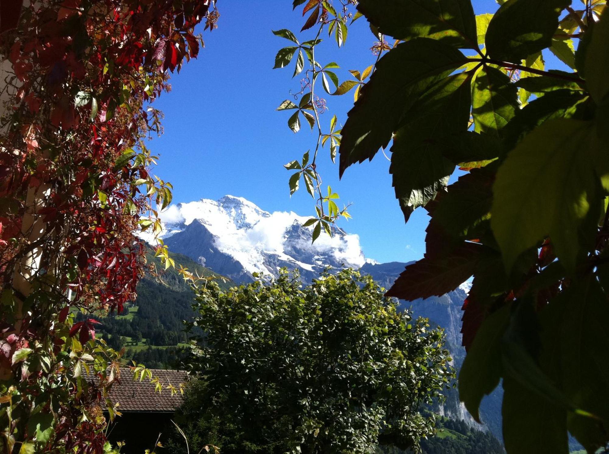 Hotel Bellevue - Traditional Swiss Hideaway Wengen Exterior foto