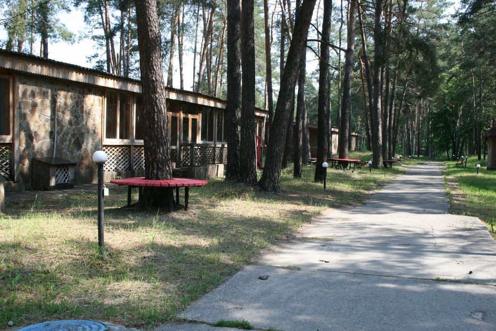 Buymerivka Pine Spa-Resort Okhtyrka Exterior foto