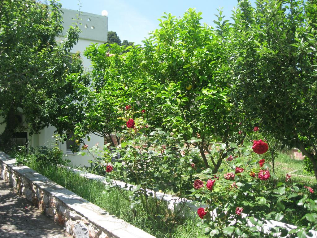 Pefkos Studios Skopelos Town Exterior foto