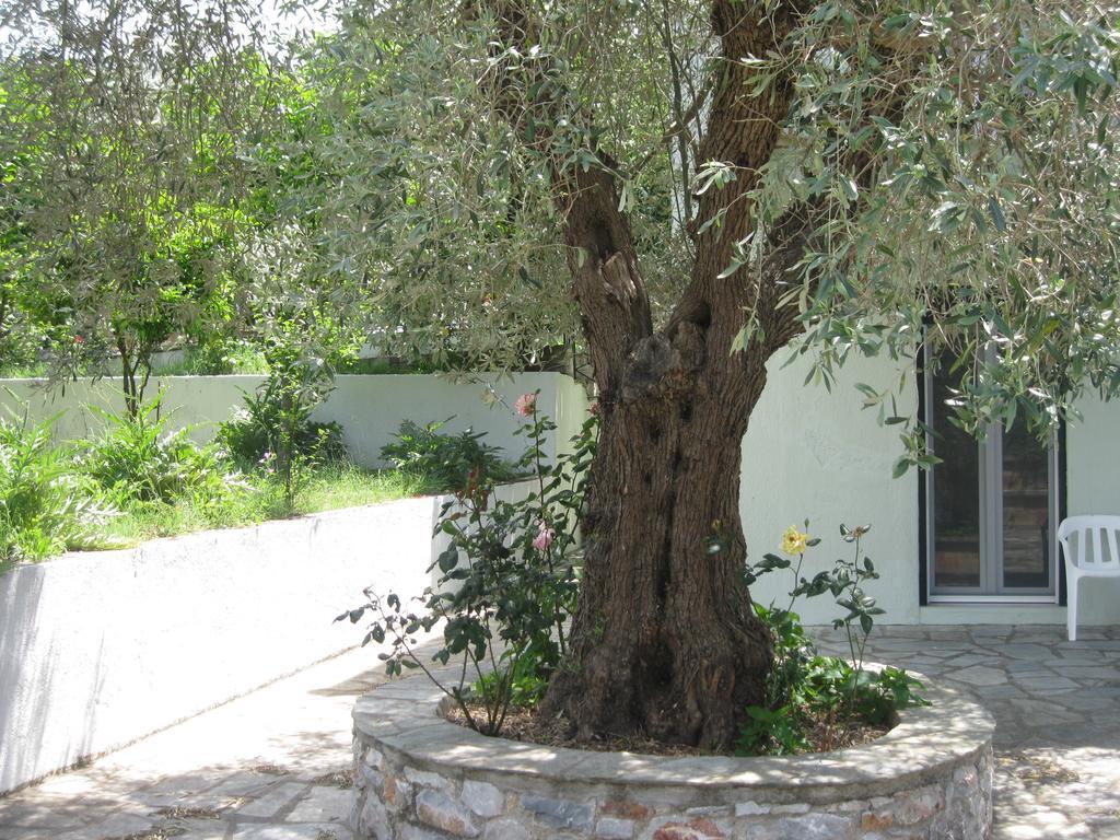 Pefkos Studios Skopelos Town Exterior foto