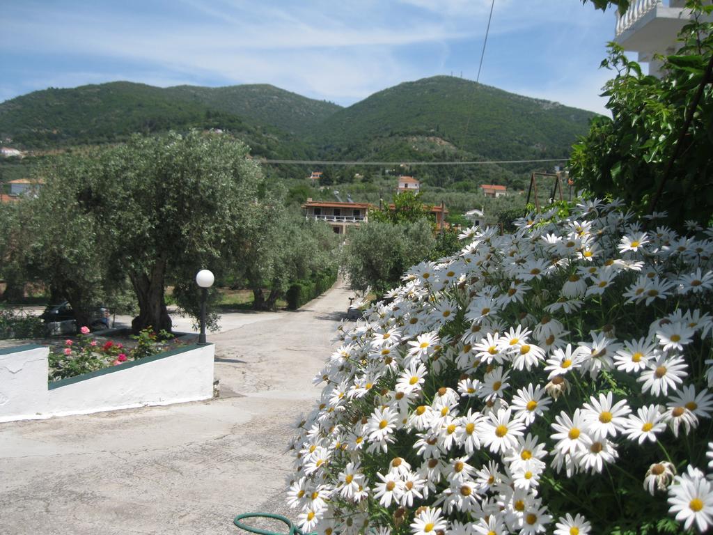 Pefkos Studios Skopelos Town Quarto foto