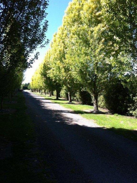 The Meadows Villa Christchurch Exterior foto