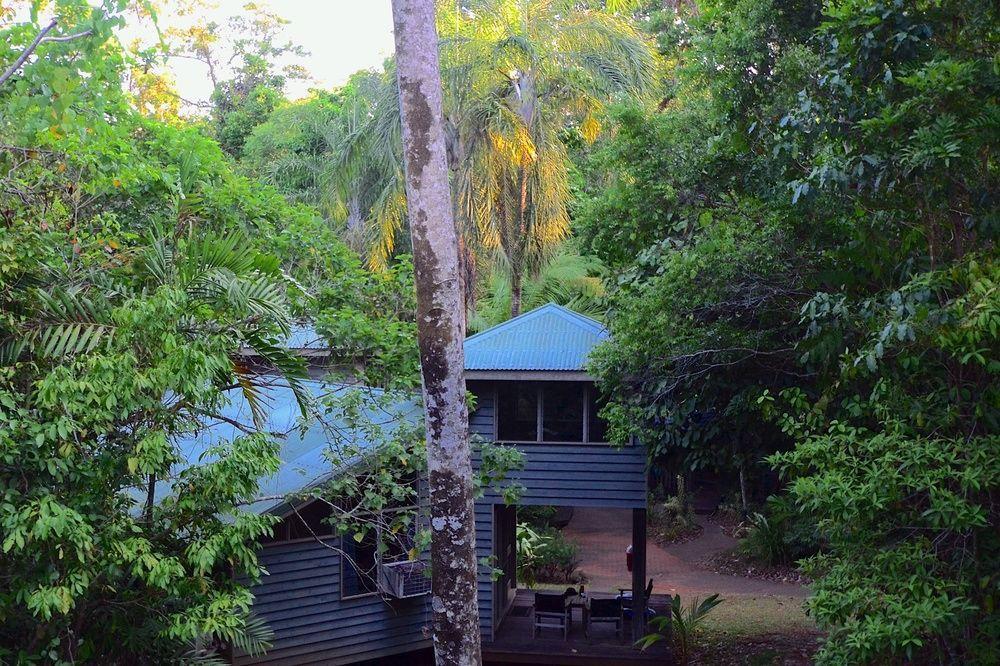 Ferntree Rainforest Lodge Cape Tribulation Exterior foto