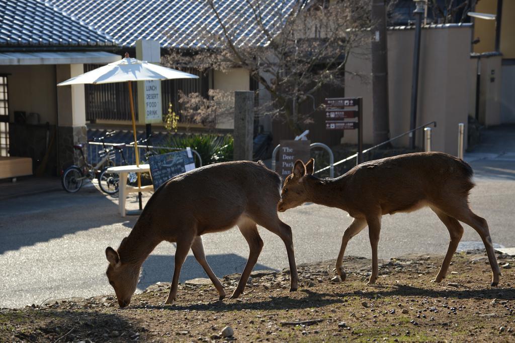 The Deer Park Inn Nara Exterior foto