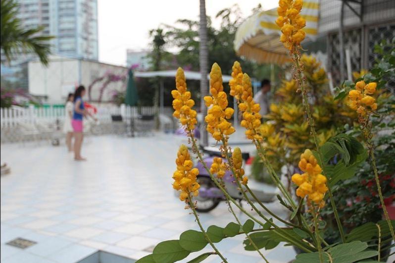 Haikou Twinstar Youth Hostel Exterior foto