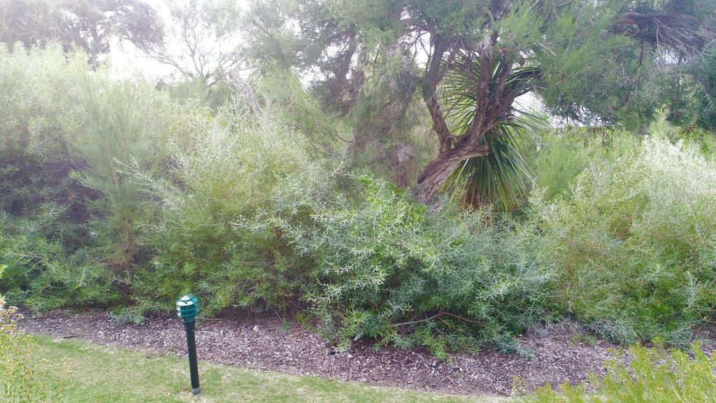 Margaret River Beach Apartments Exterior foto