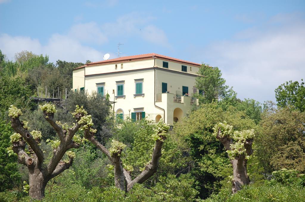 Villa Romita SantʼAgata sui Due Golfi Exterior foto