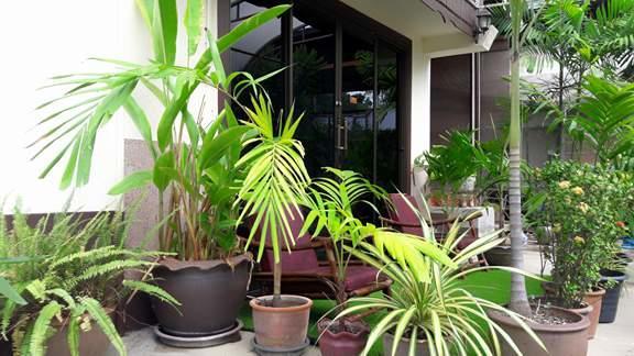 Aree Guest House Lampang Exterior foto