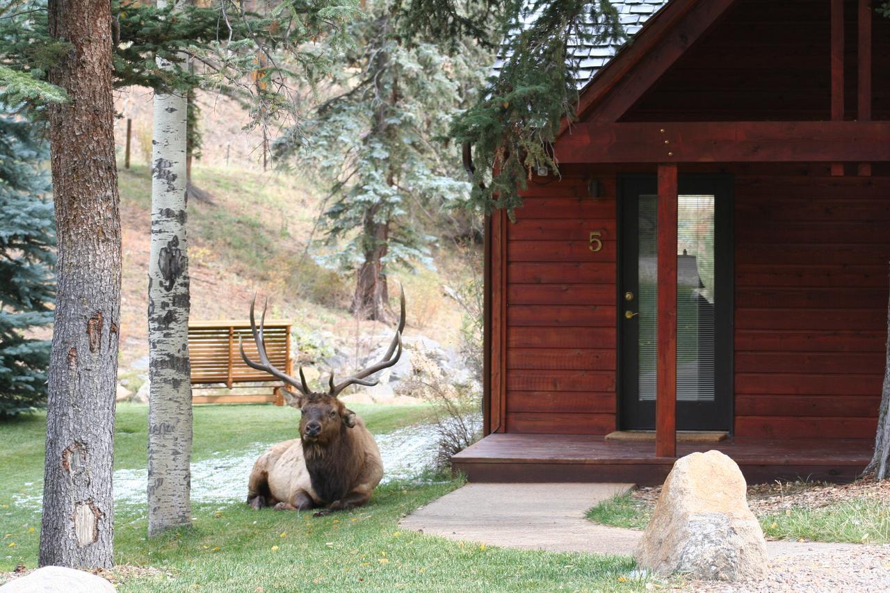 Boulder Brook On Fall River Estes Park Exterior foto