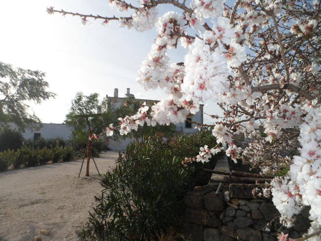 Masseria Pugliese Farm Ostuni Exterior foto