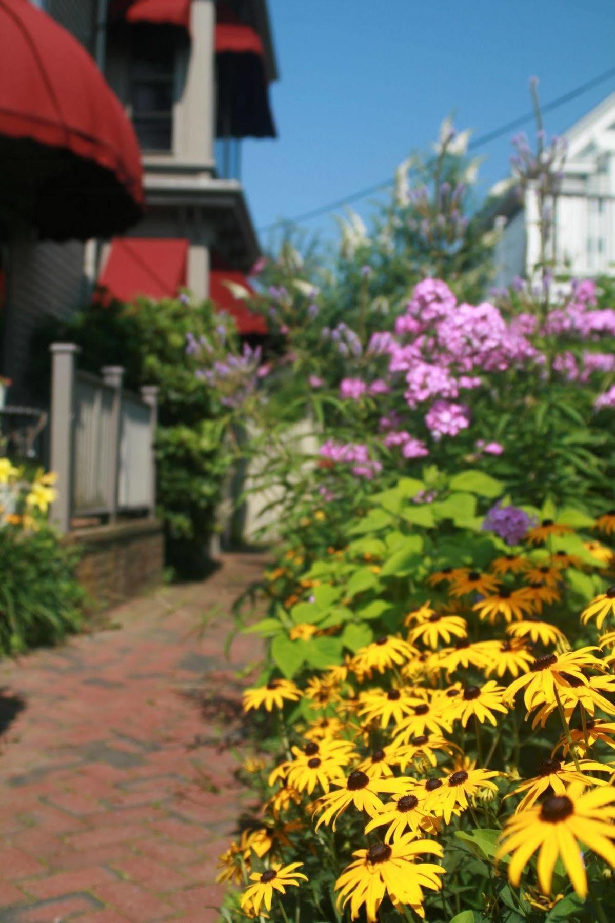 Prince Albert Guest House, Provincetown Exterior foto