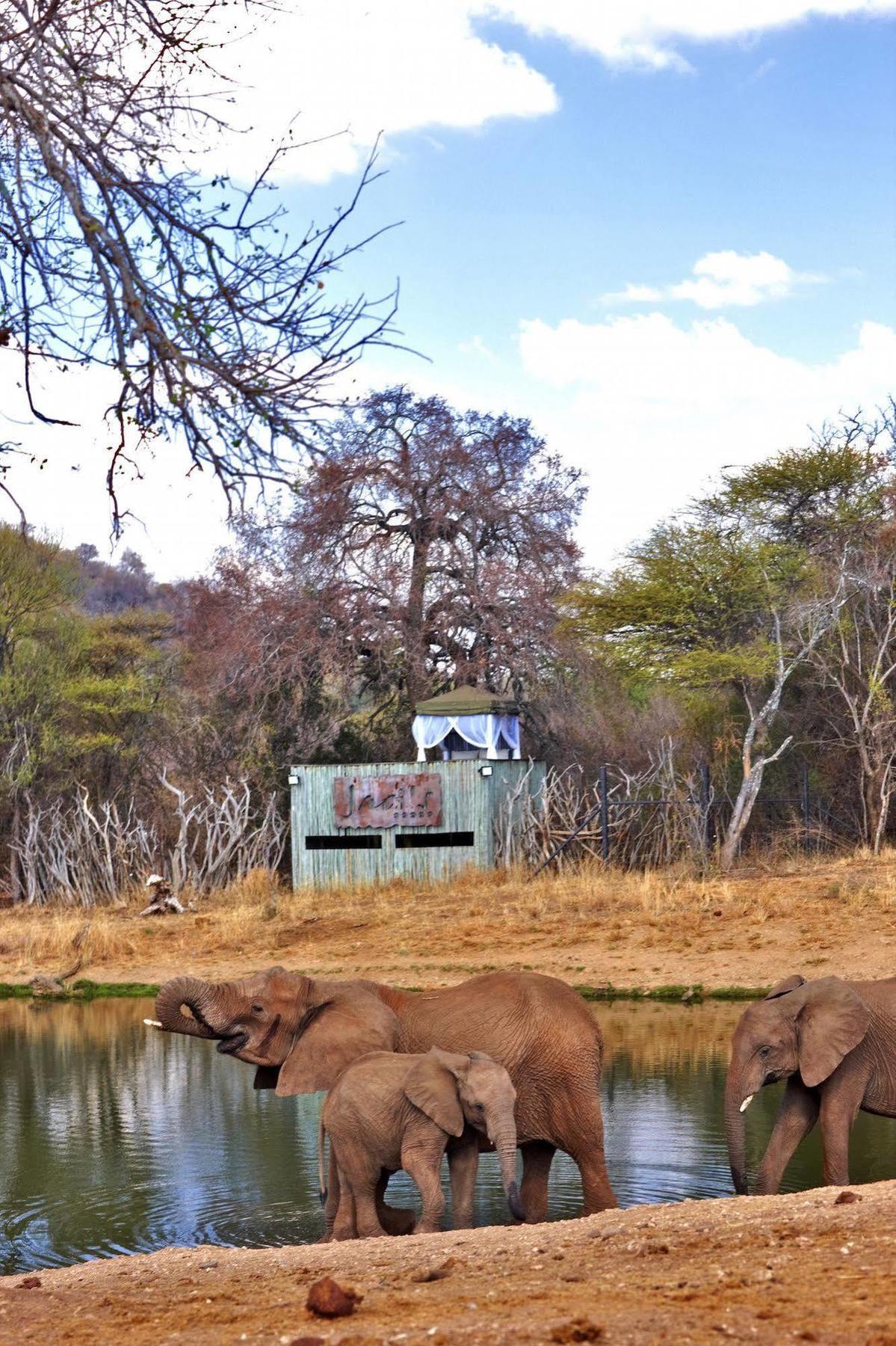 Jaci'S Lodges Madikwe Game Reserve Exterior foto