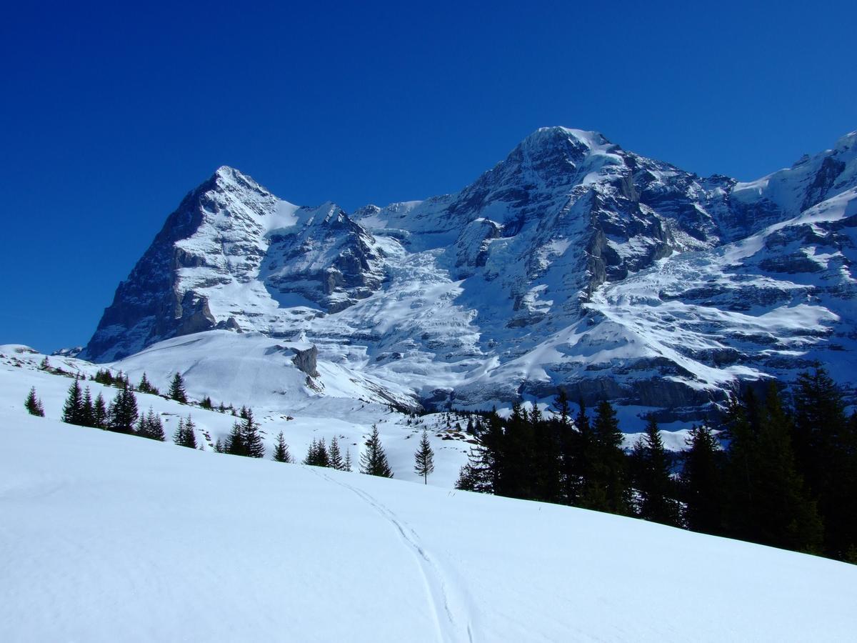 Hotel Bellevue - Traditional Swiss Hideaway Wengen Exterior foto