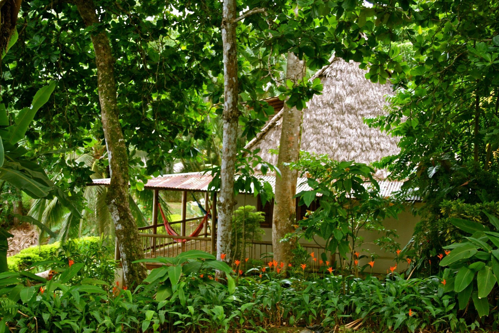 Bosque Del Cabo Rain Forest Lodge Puerto Jiménez Exterior foto