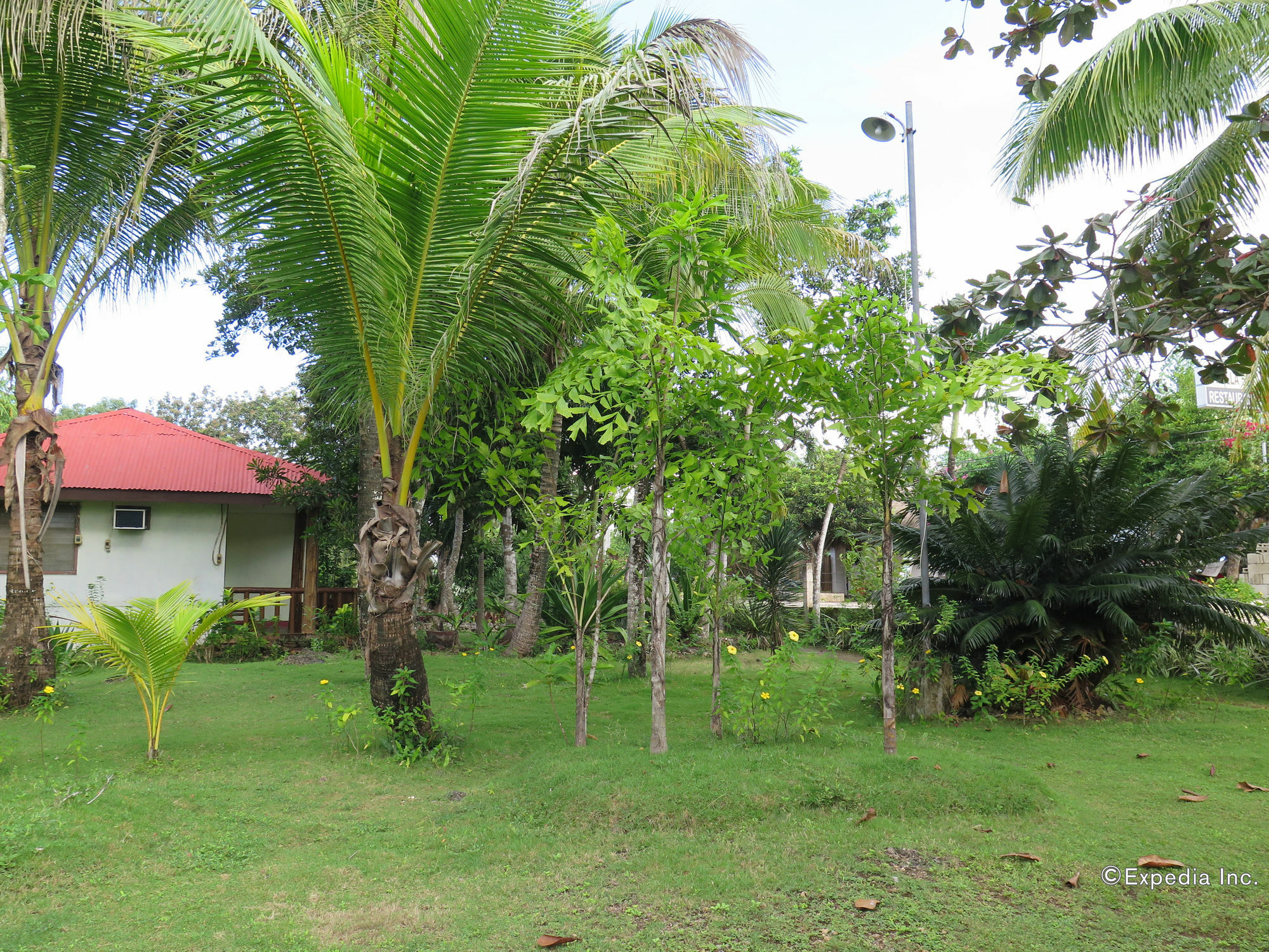 Casa Nova Garden Hotel Panglao City Exterior foto