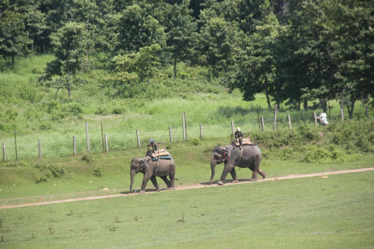 Landmark Forest Park Sauraha Exterior foto