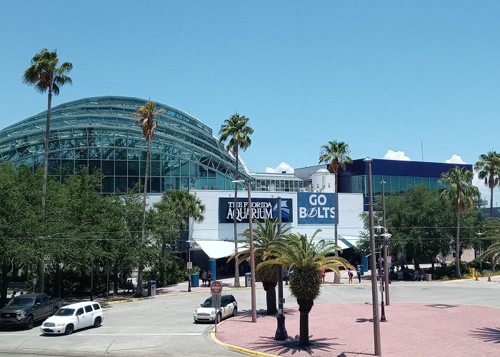 Florida Aquarium photo