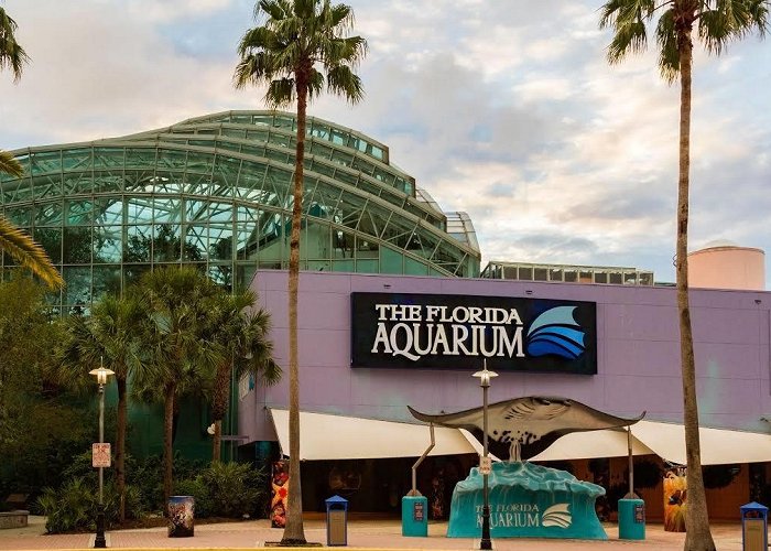 Florida Aquarium photo