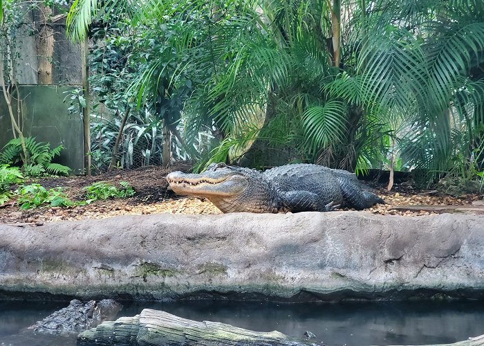 Florida Aquarium photo