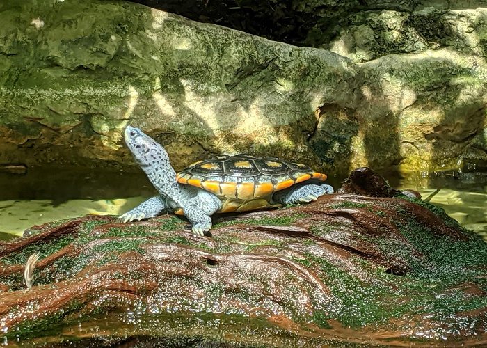 Florida Aquarium photo