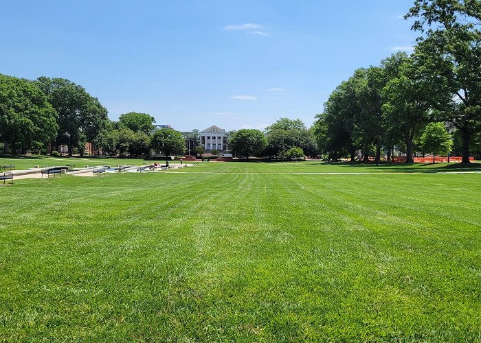University of Maryland - College Park photo