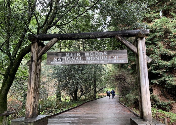 Muir Woods National Monument photo