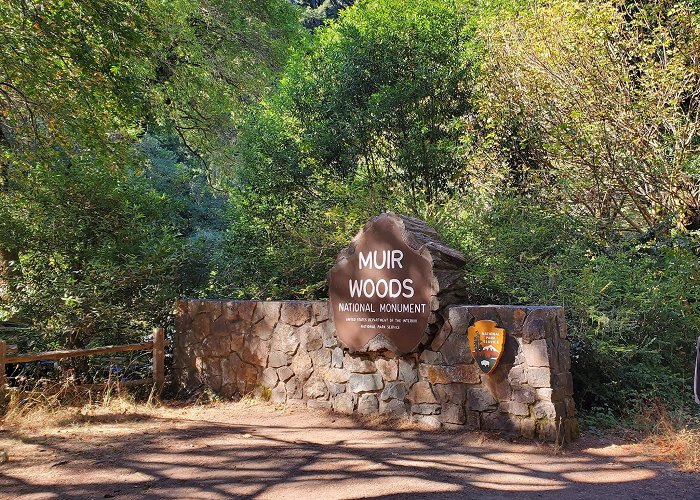 Muir Woods National Monument photo