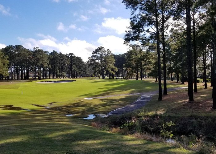 Myrtlewood Golf Course photo