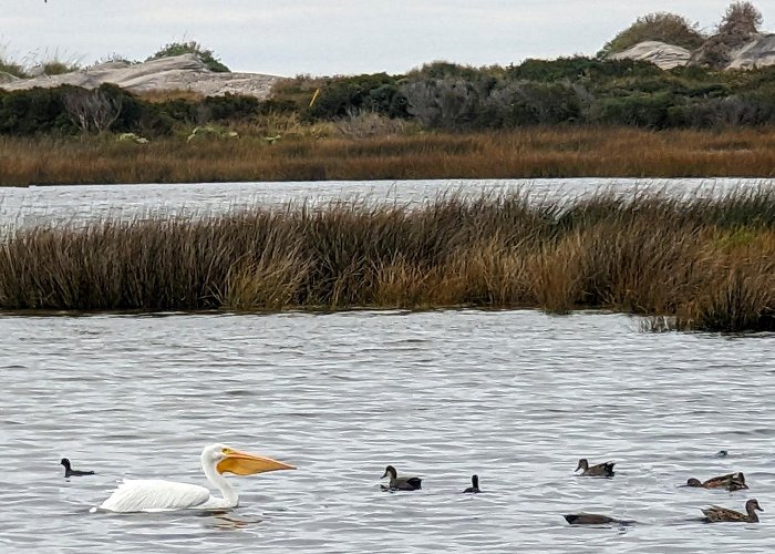 Cape Hatteras National Seashore photo