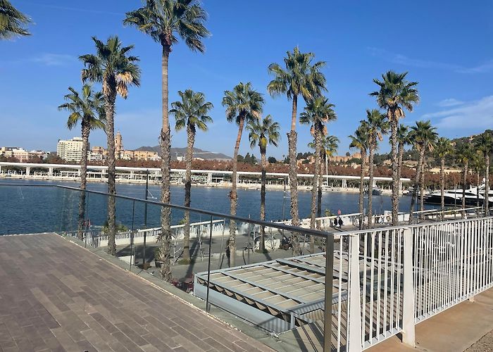 La Malagueta Beach photo