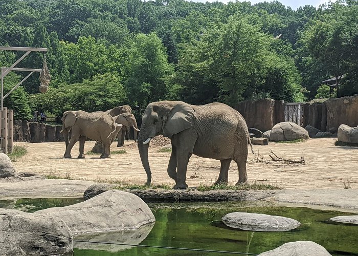 Cleveland Metroparks Zoo photo